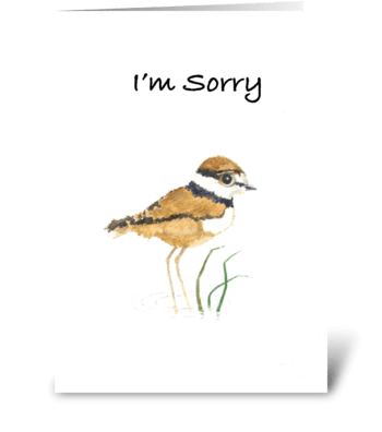 I'm Sorry greeting card