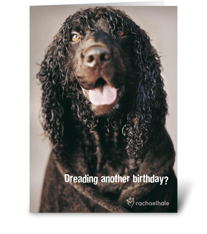 Dreading another birthday? greeting card