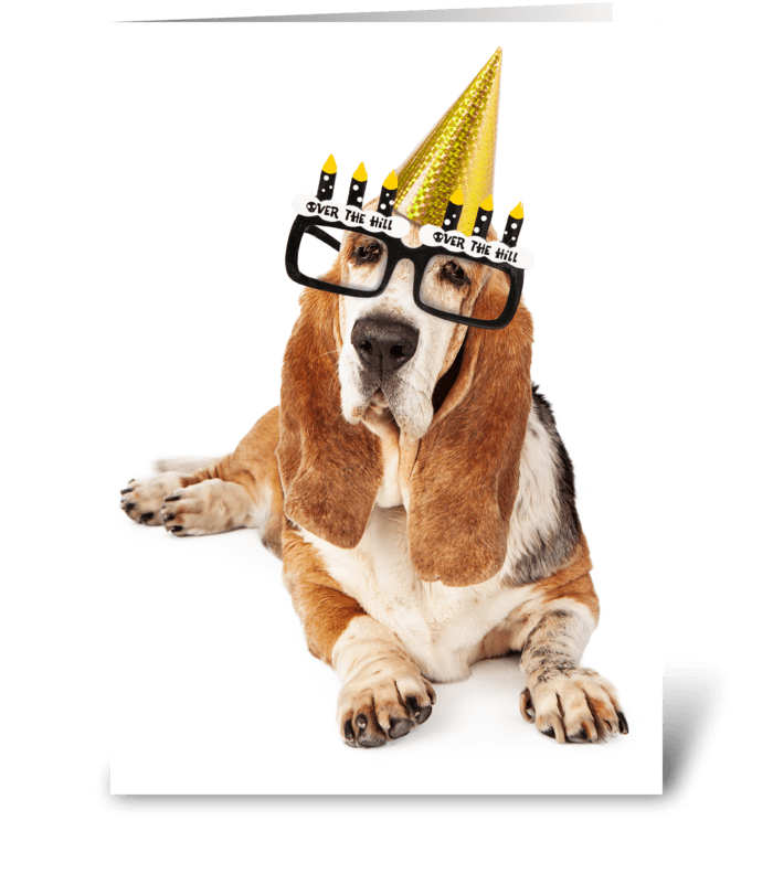 Old Basset Hound Dog Happy Birthday greeting card