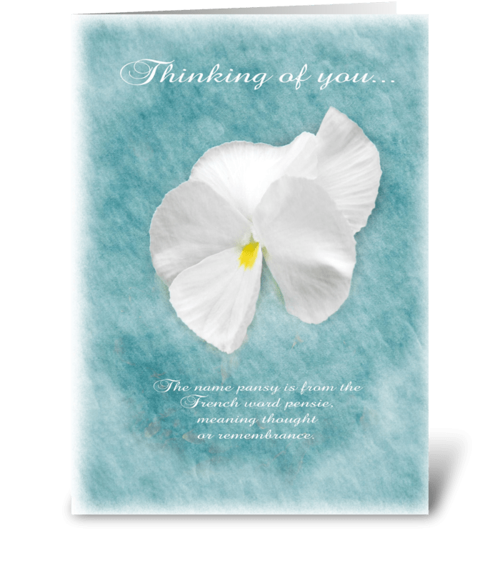 Thinking of you Pansy greeting card