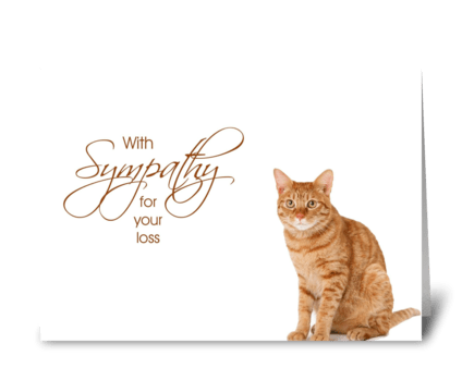 With Sympathy - loss of cat greeting card