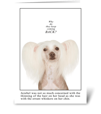 Whiskers greeting card
