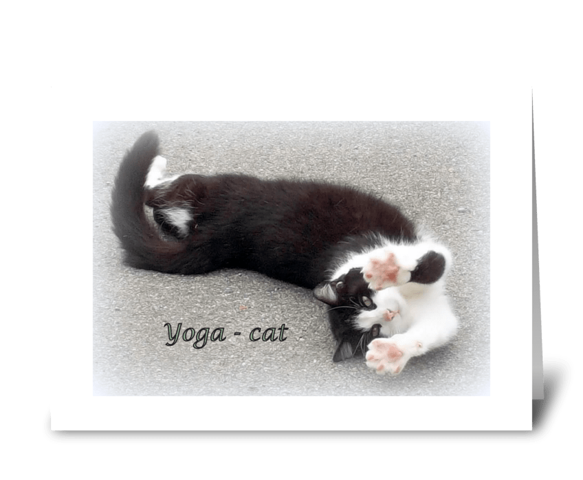 Yoga - cat greeting card