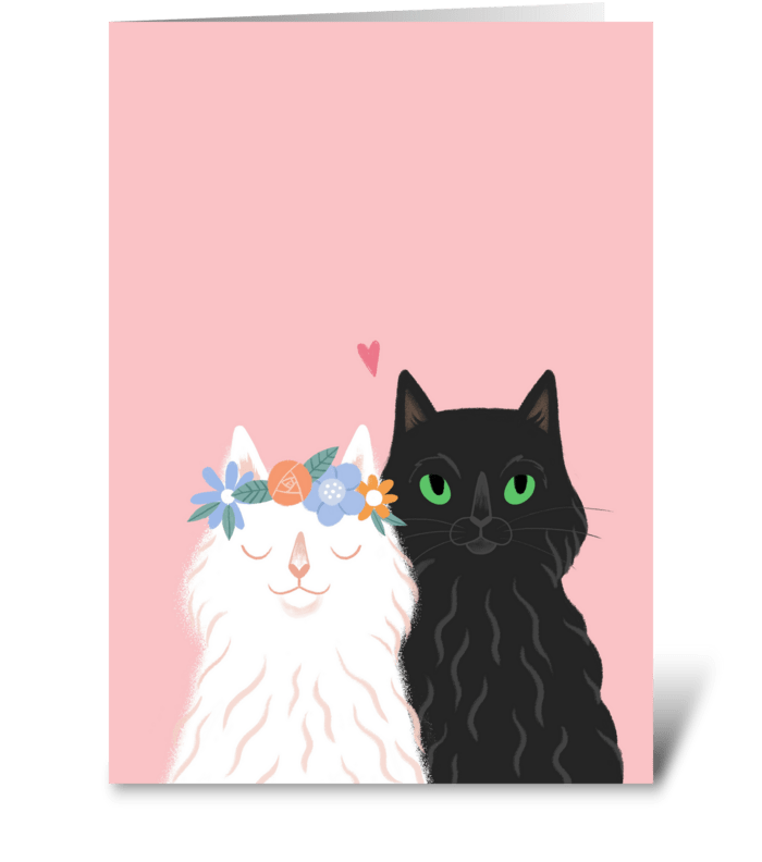 Lovely cats.  greeting card