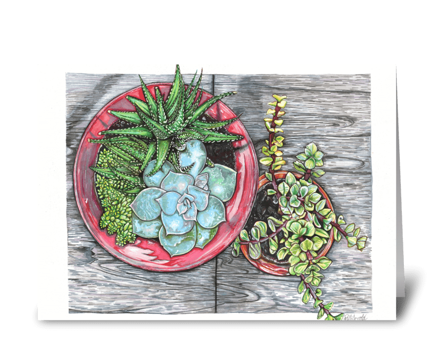 Potted Succulents greeting card