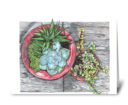 Potted Succulents greeting card