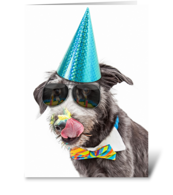 Funny Birthday Dog Celebrating With Cake greeting card