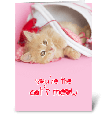 You're the Cat's Meow greeting card