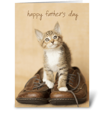 Father's Day Kitten on Dad's Shoes greeting card