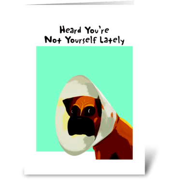 Boxer Cone Get Well greeting card