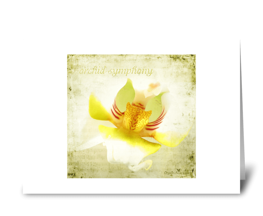 Orchid symphony greeting card