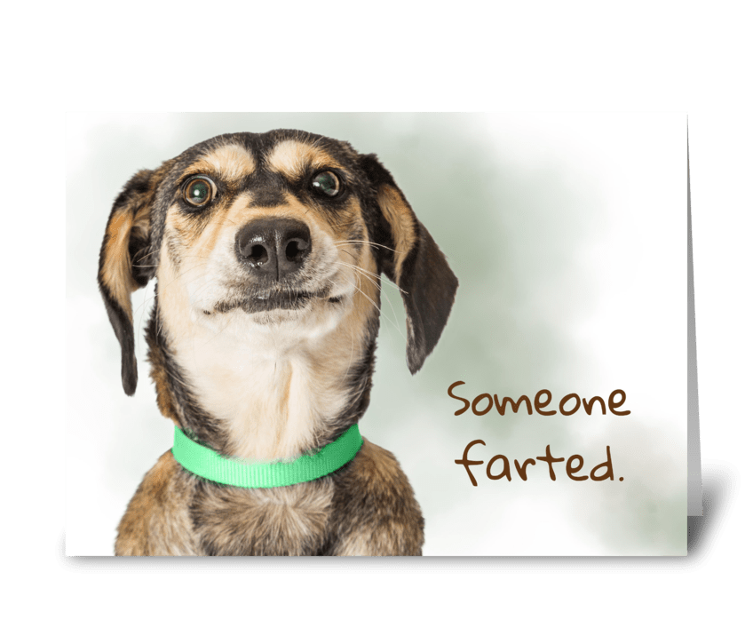 Funny Farting Dog Card greeting card