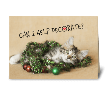 Can I Help Decorate? Christmas Kitty greeting card