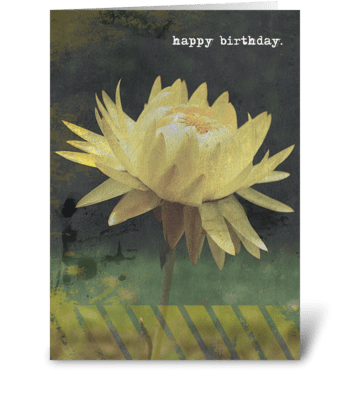happy birthday. greeting card