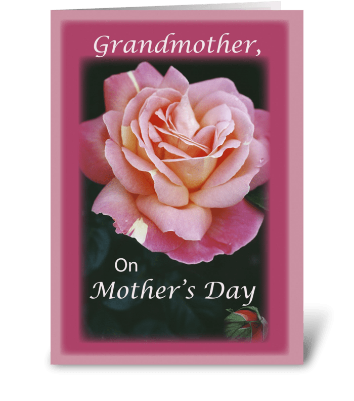 Grandmother, Mother's Day Rose, Pink greeting card
