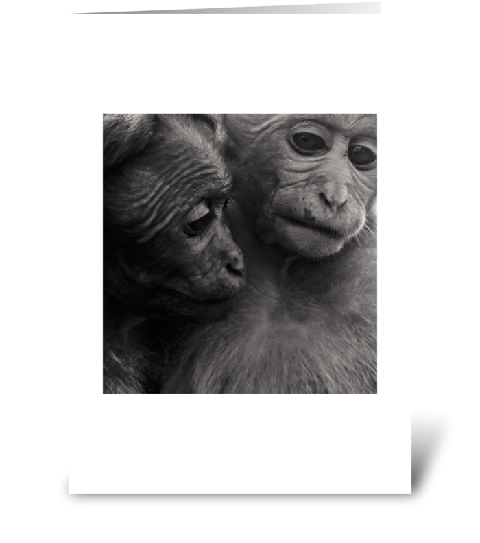 Monkey Love greeting card