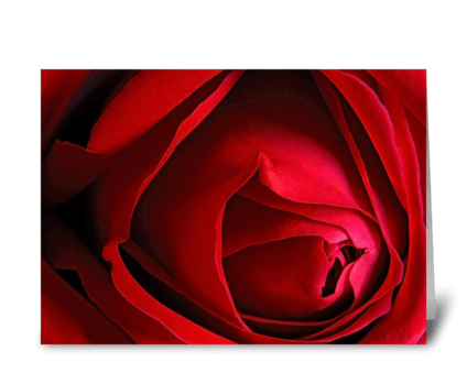 Red Rose "I miss you." greeting card