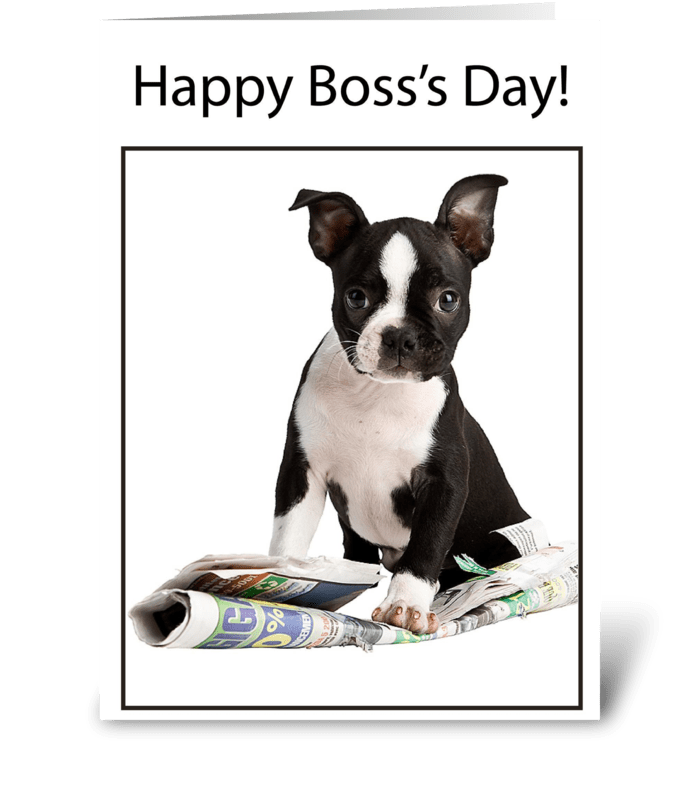 Boss's Day Dog with Newspaper greeting card