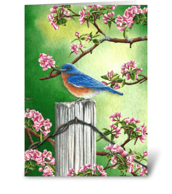 Bluebird in Spring greeting card
