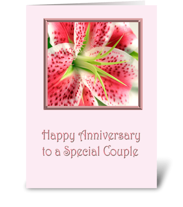 Anniversary Stargazer Lily greeting card